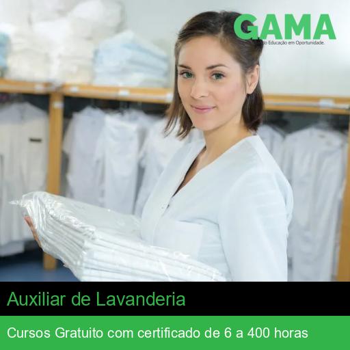 Auxiliar de Lavanderia